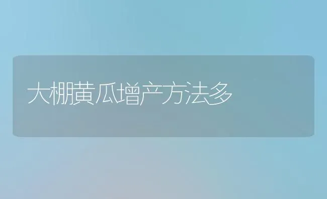 大棚黄瓜增产方法多 | 蔬菜种植