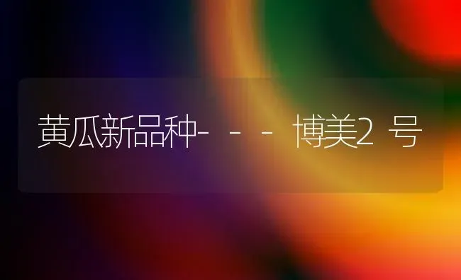黄瓜新品种---博美2号 | 蔬菜种植