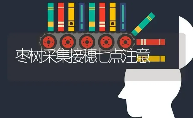 枣树采集接穗七点注意 | 瓜果种植