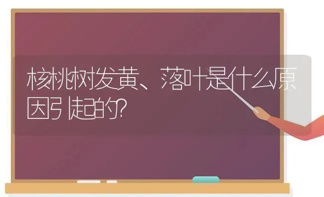 核桃树发黄、落叶是什么原因引起的？ | 瓜果种植