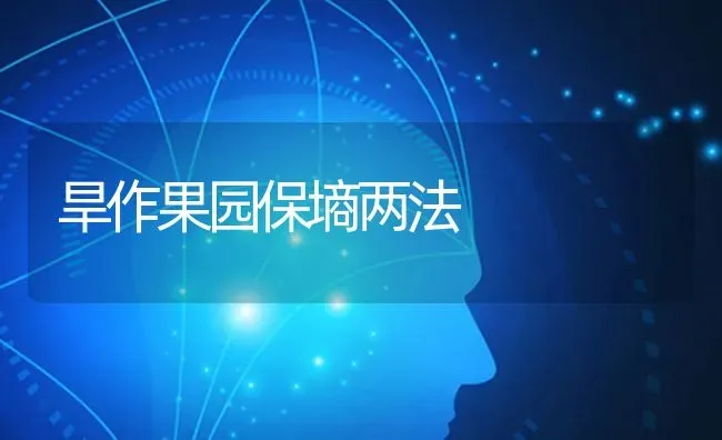 旱作果园保墒两法 | 瓜果种植