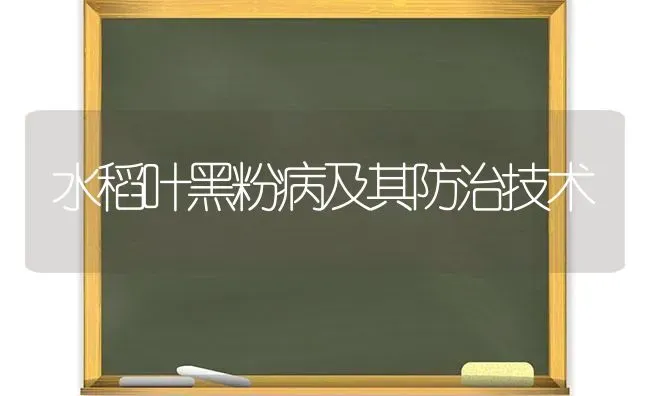 水稻叶黑粉病及其防治技术 | 粮油作物种植