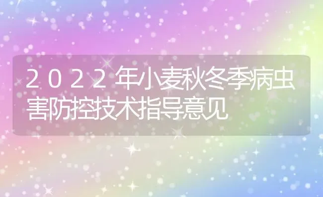 2022年小麦秋冬季病虫害防控技术指导意见 | 粮油作物种植