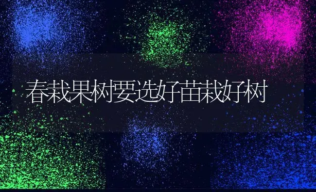 春栽果树要选好苗栽好树 | 瓜果种植