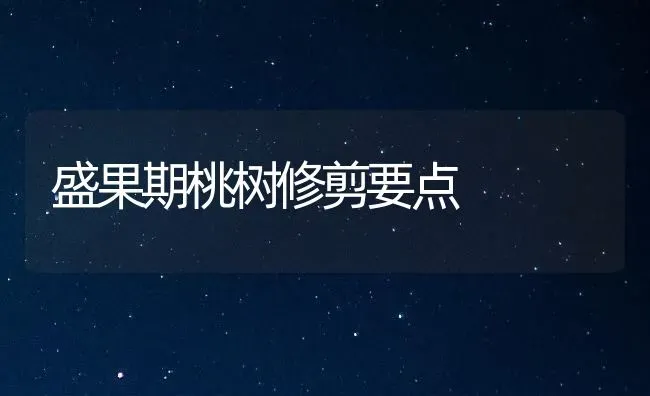 盛果期桃树修剪要点 | 瓜果种植