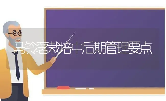 马铃薯栽培中后期管理要点 | 粮油作物种植