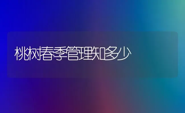 桃树春季管理知多少 | 瓜果种植