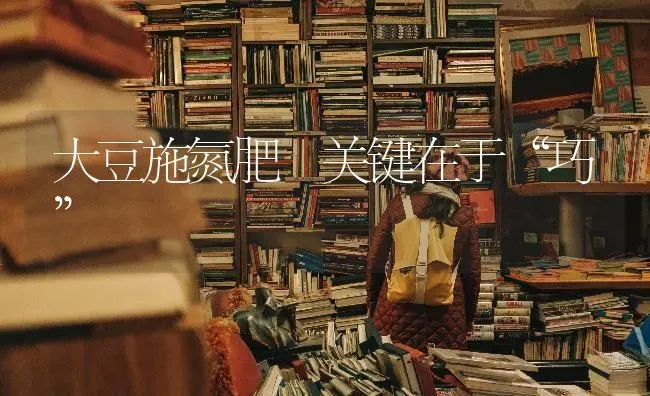 大豆施氮肥 关键在于“巧” | 粮油作物种植
