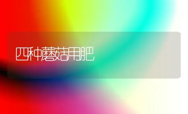 四种蘑菇用肥 | 食用菌种植