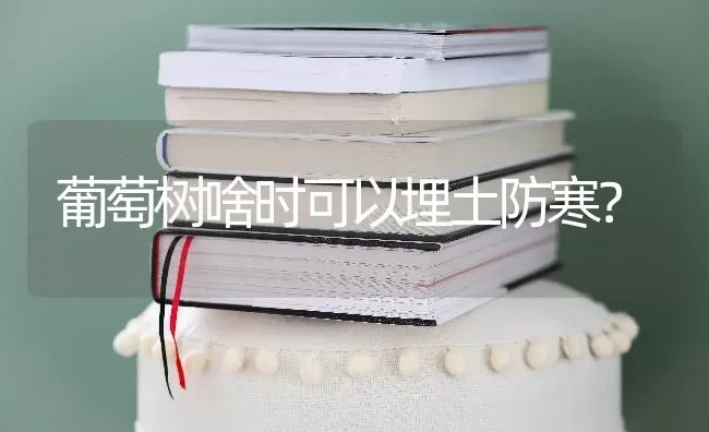 葡萄树啥时可以埋土防寒？ | 瓜果种植