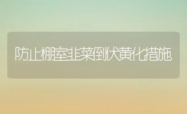 防止棚室韭菜倒伏黄化措施 | 蔬菜种植
