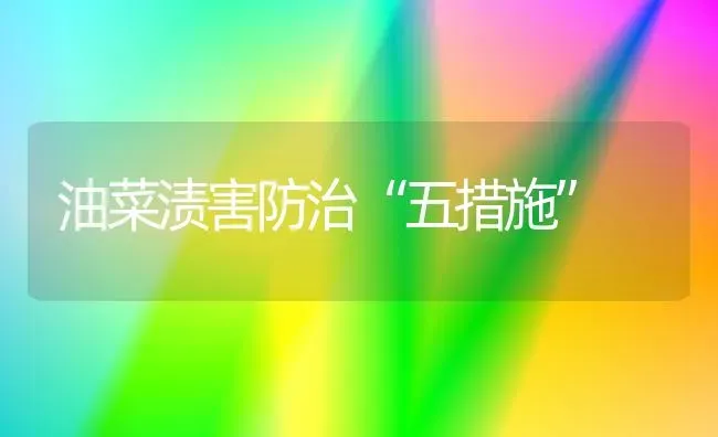 油菜渍害防治“五措施” | 粮油作物种植