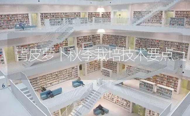 青皮萝卜秋季栽培技术要点 | 蔬菜种植