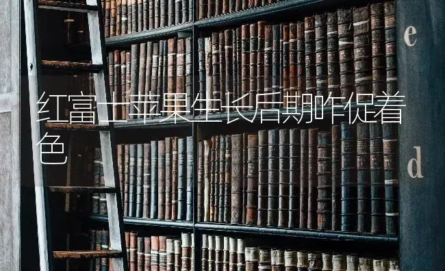 红富士苹果生长后期咋促着色 | 瓜果种植