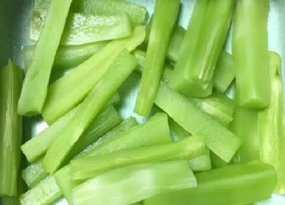 食用须知|莴笋需要焯水吗（家常清炒莴笋做法一定要焯水吗）