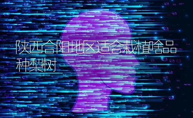 陕西合阳地区适合栽植啥品种梨树 | 瓜果种植