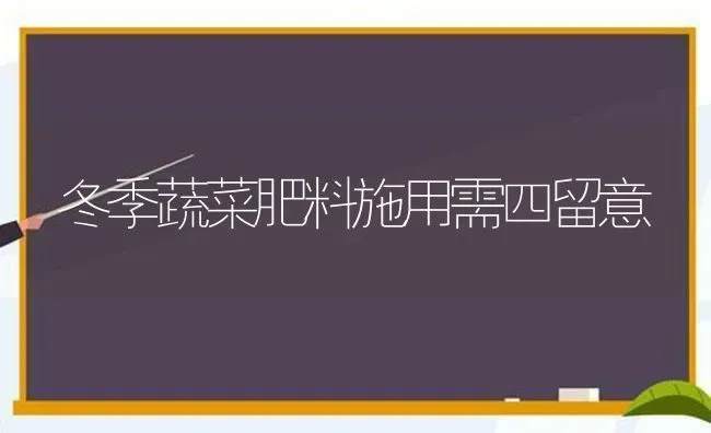 冬季蔬菜肥料施用需四留意 | 蔬菜种植