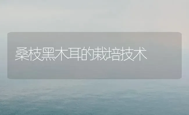 桑枝黑木耳的栽培技术 | 食用菌种植