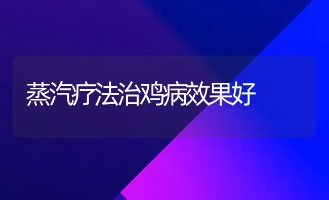 蒸汽疗法治鸡病效果好 | 瓜果种植