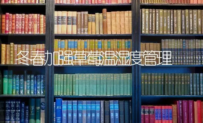 冬春加强草莓温湿度管理 | 瓜果种植