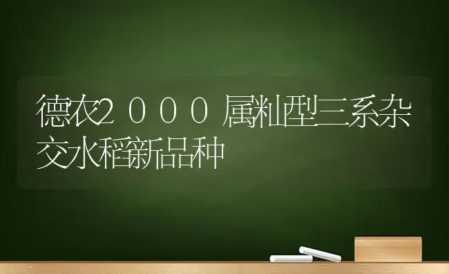 德农2000属籼型三系杂交水稻新品种 | 粮油作物种植