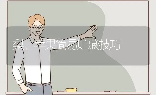 梨、苹果简易贮藏技巧 | 瓜果种植