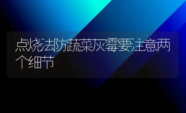 点烧法防蔬菜灰霉要注意两个细节 | 蔬菜种植