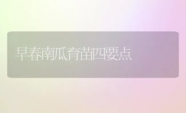 早春南瓜育苗四要点 | 蔬菜种植