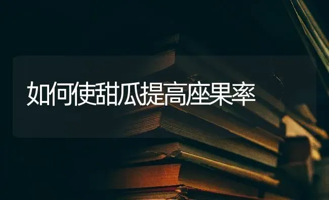 如何使甜瓜提高座果率 | 瓜果种植