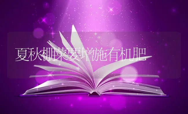 夏秋棚菜要增施有机肥 | 蔬菜种植