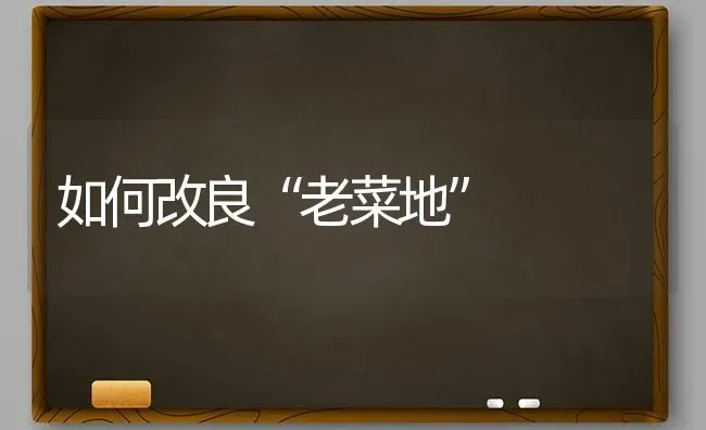 如何改良“老菜地” | 蔬菜种植