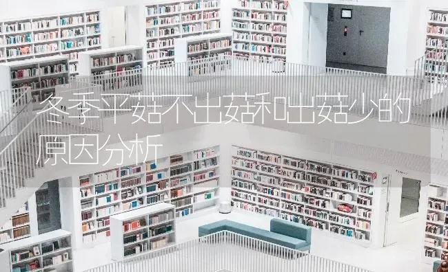 冬季平菇不出菇和出菇少的原因分析 | 食用菌种植
