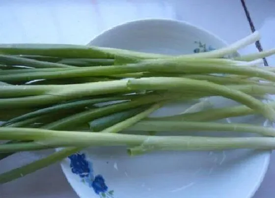 食用技巧|小葱怎么洗才干净