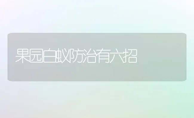 果园白蚁防治有六招 | 瓜果种植