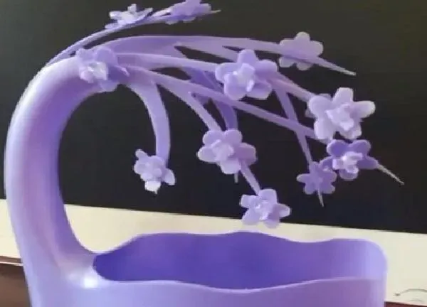 养殖科普|洗衣液花瓶怎么做简单又好看（手工制作简易花盆教程）