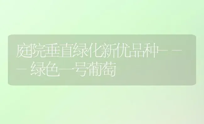 庭院垂直绿化新优品种---绿色一号葡萄 | 瓜果种植