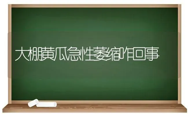 大棚黄瓜急性萎缩咋回事 | 蔬菜种植