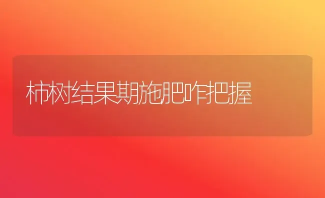 柿树结果期施肥咋把握 | 瓜果种植