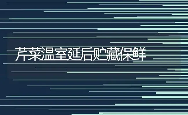 芹菜温室延后贮藏保鲜 | 蔬菜种植