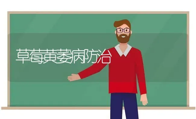 草莓黄萎病防治 | 瓜果种植