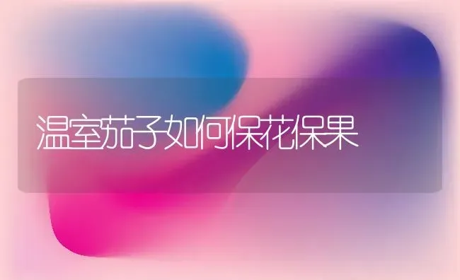温室茄子如何保花保果 | 瓜果种植