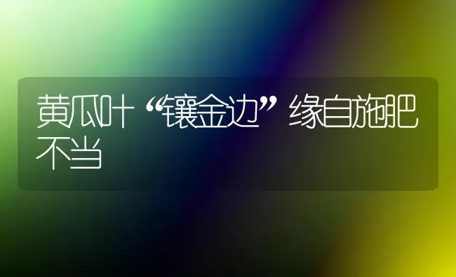 黄瓜叶“镶金边”缘自施肥不当 | 种植肥料施肥