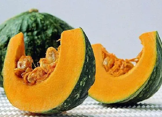 植物种类|哪个品种的南瓜最香且面甜 口感好吃的南瓜品种