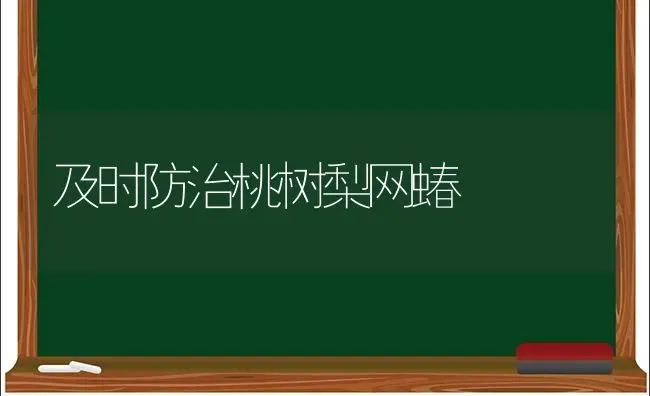 及时防治桃树梨网蝽 | 瓜果种植