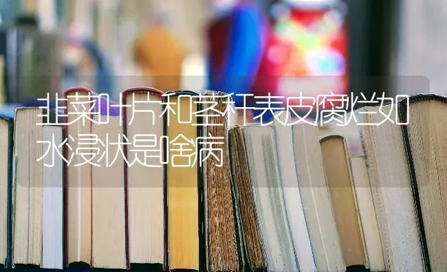 韭菜叶片和茎秆表皮腐烂如水浸状是啥病 | 蔬菜种植