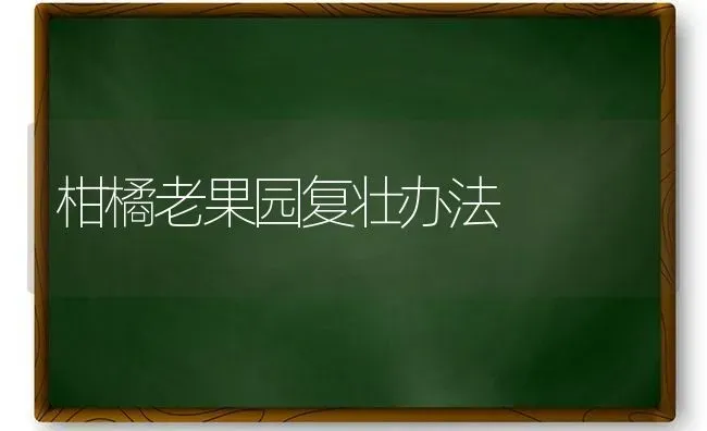 柑橘老果园复壮办法 | 瓜果种植