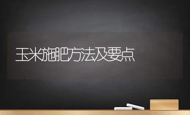 玉米施肥方法及要点 | 种植肥料施肥