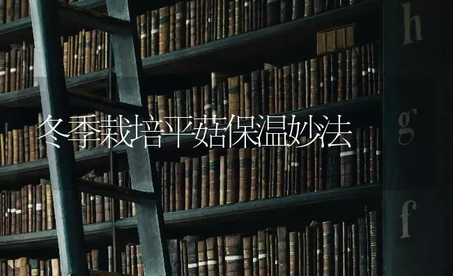 冬季栽培平菇保温妙法 | 食用菌种植