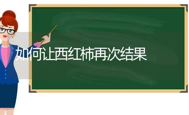 如何让西红柿再次结果 | 瓜果种植