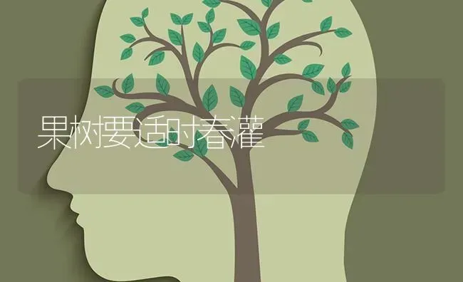 果树要适时春灌 | 瓜果种植